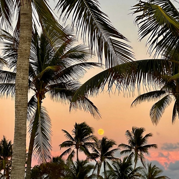 About Your Posher! - Picture 2 of 3